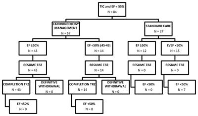 Cardioncological Approach for Trastuzumab Therapy in Breast Cancer Patients With Cardiotoxicity: Impact on Adherence and Clinical Outcome